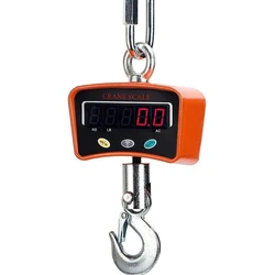 SS Crane Scale — Application Measuring Crane Weight