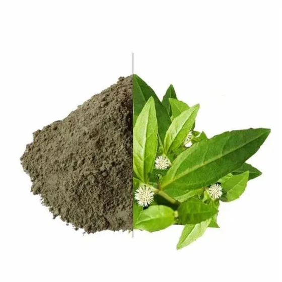 organic-bhringraj-powder-2.webp