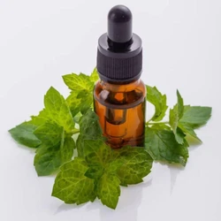 Ashiyana Aroma Oil — Liquid used plant part leaves tree