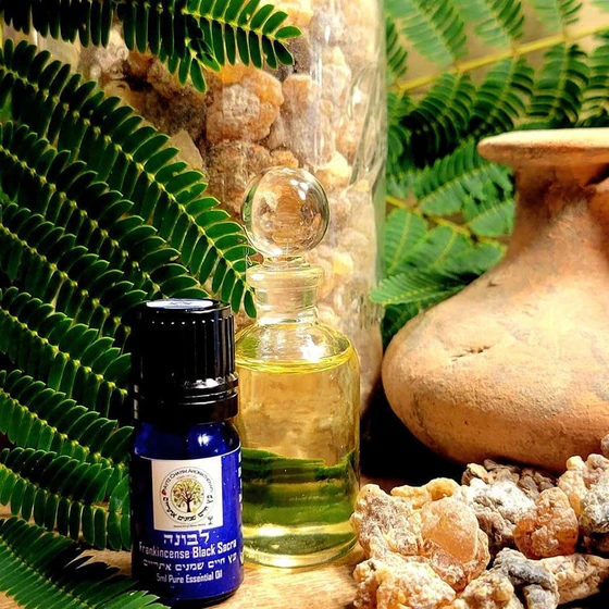 elemi-pure-essential-oil-2.webp