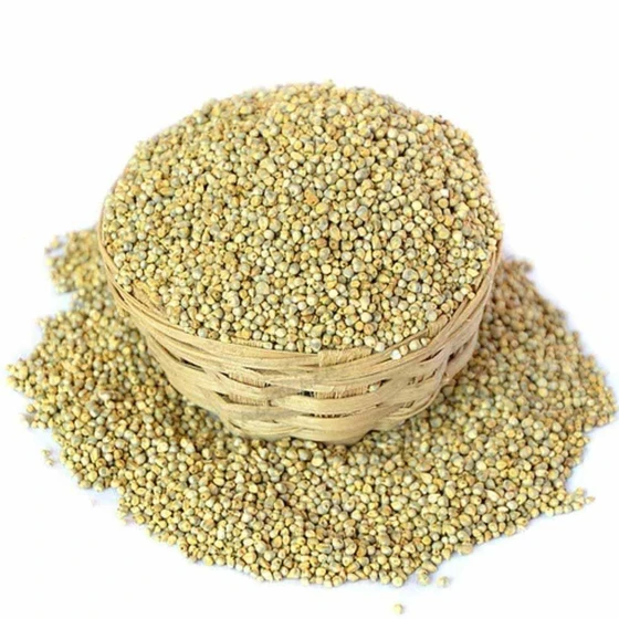 organic-pearl-millet-2.webp