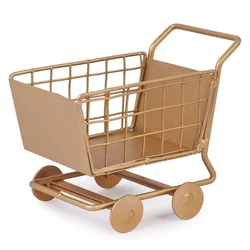 Iron Trolley Cart