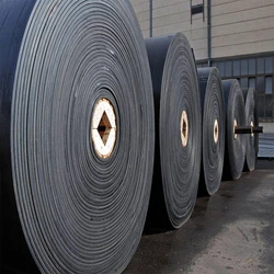 Polyester Conveyor Belt