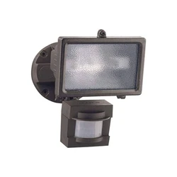 Halogen Bronze Light