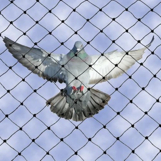 2-bird-netting-1.webp
