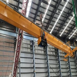 Steel E.O.T. Cranes