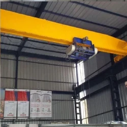 Mild Overhead Crane