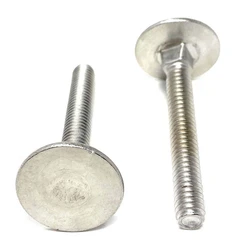 Stainless Steel Screw Elevator