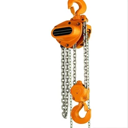 Electric Manual Hoist