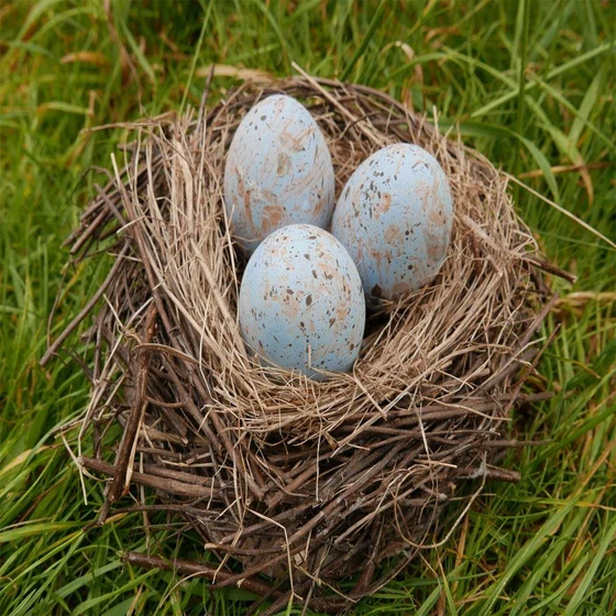 natural-bird-nets-2.webp