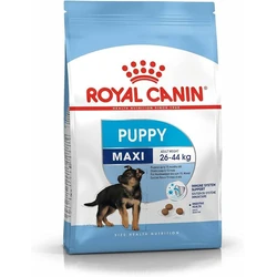 Dog Royal Canin Food