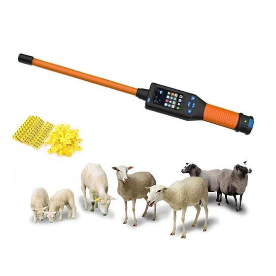 reader-animal-stick-2.webp