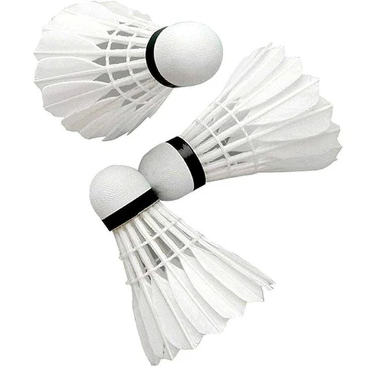 shuttle-badminton-cock-2.webp
