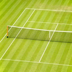 Tennis Grass Court