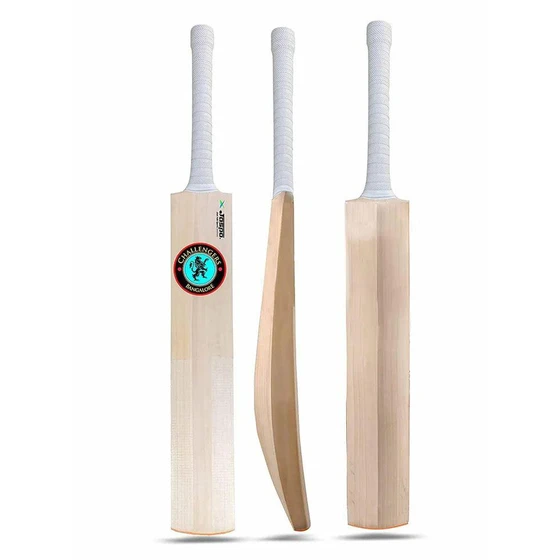 leather-ball-cricket-bat-2.webp