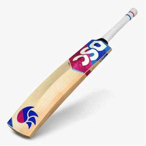 english-willow-bat-2.webp