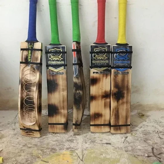 kashmir-willow-bat-2.webp