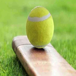 Cricket Tennis Ball