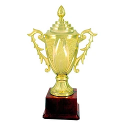 Sports Cup Trophy