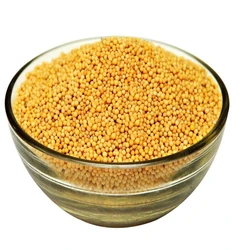 Mustard Yellow Seed