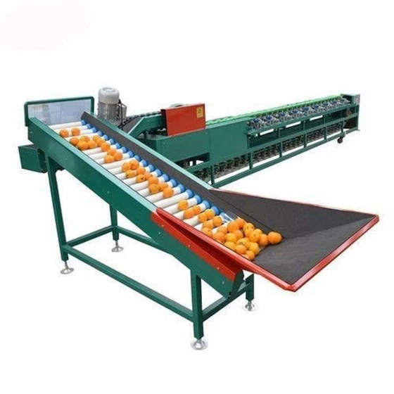 fruit-grading-machine-1.webp