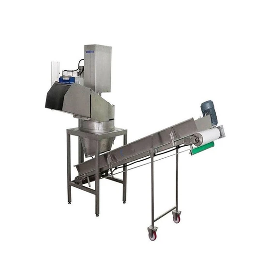 fruit-processing-machine-1.webp