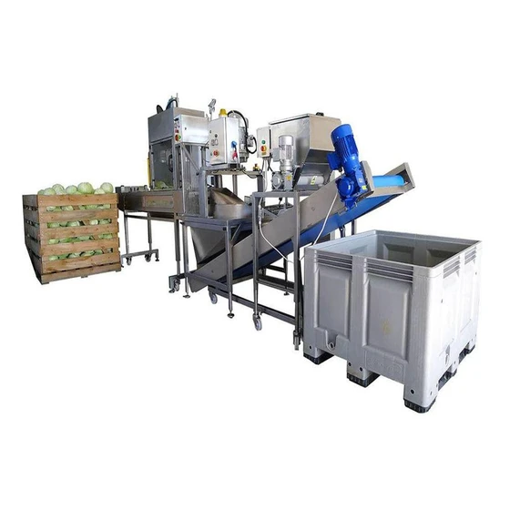 fruit-processing-machine-2.webp