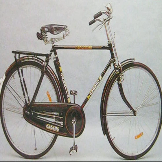 caballo-dame-bicycle-2.webp