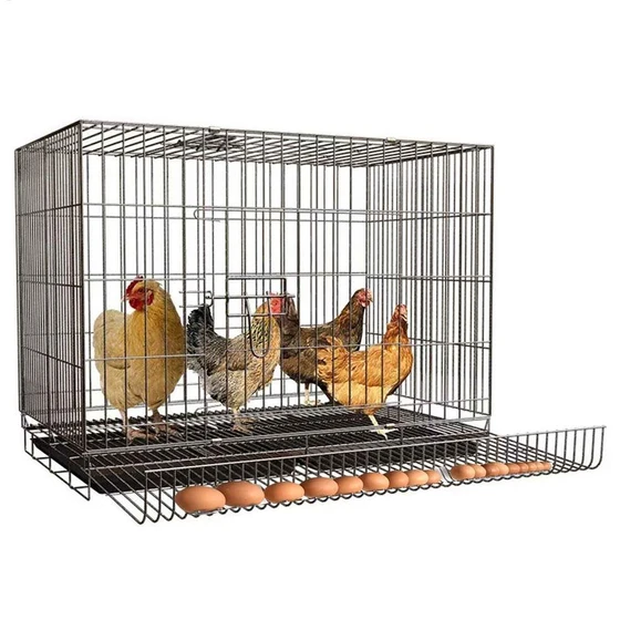 galvanized-layer-cage-2.webp