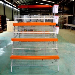 Galvanized Layer Cage