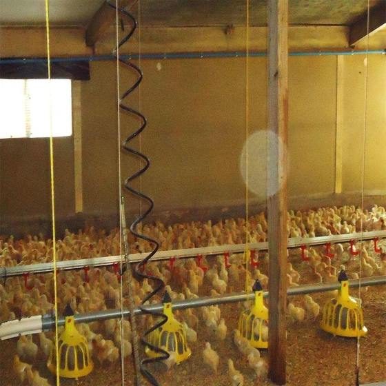 wood-poultry-farm-2.webp