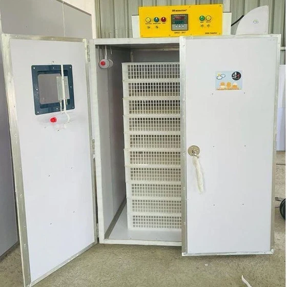 egg-ss-incubator-2.webp