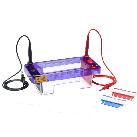 gel-electrophoresis-equipment-2.webp