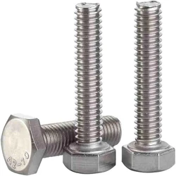 Ss Screw Bolt