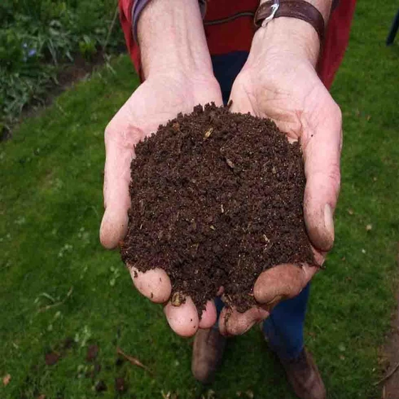 bio-fertilizers-2.webp