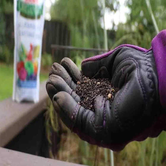 organic-fertilizer-2.webp