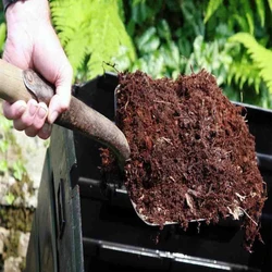 Organic Fertilizer 