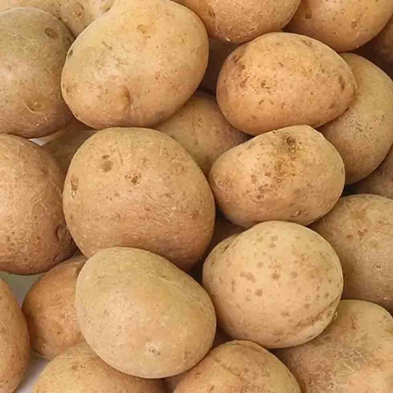 fresh-potato-2.webp
