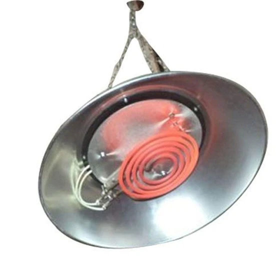 poultry-electric-brooder-2.webp