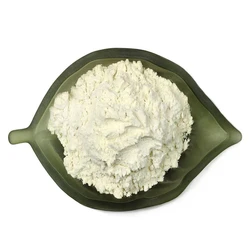 Industrial Guar Gum Powder