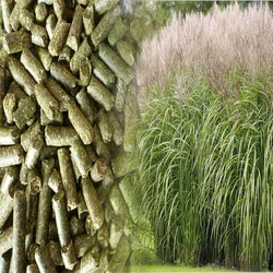 Grass Pellet Feed 