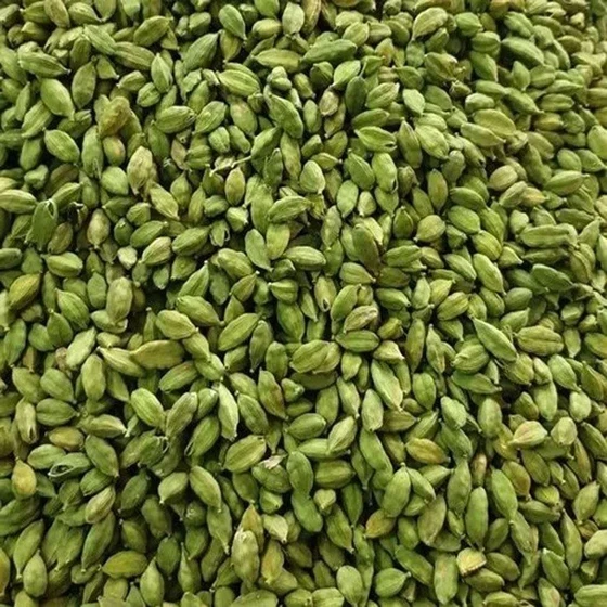bold-green-natural-cardamom-2.webp