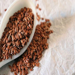 Dried Flax Seeds