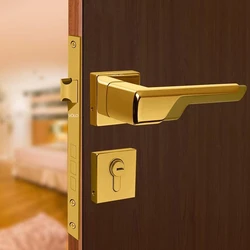 Mortise Door Handels