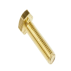 Brass Hex Screw