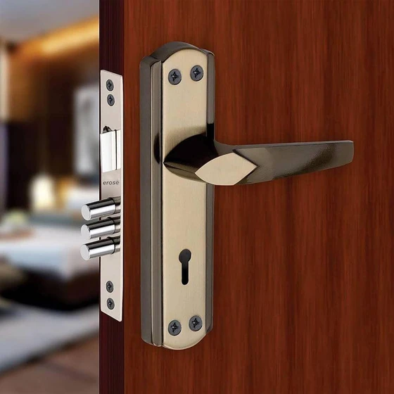door-locking-system-2.webp