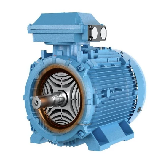 low-voltage-motors-2.webp