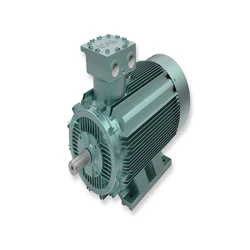Low Voltage Motors
