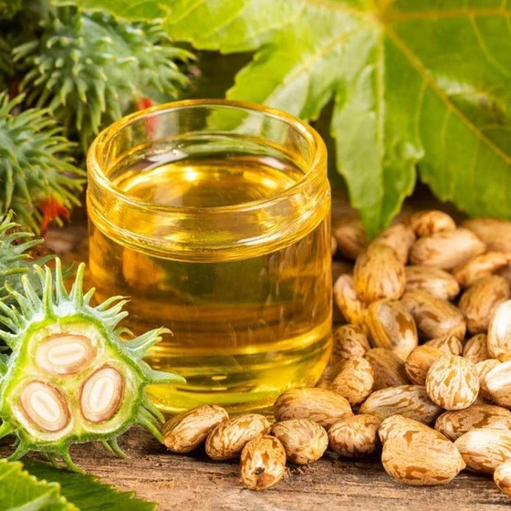 organic-castor-oil-2.webp