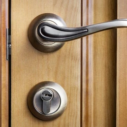 Bedroom Door Locks